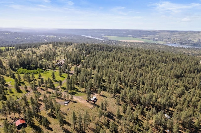 6601 Stony Way, Nine Mile Falls, WA 99026 - photo 17