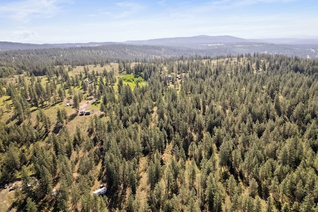 6601 Stony Way, Nine Mile Falls, WA 99026 - photo 18
