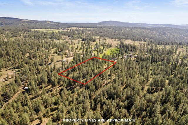 6601 Stony Way, Nine Mile Falls, WA 99026 - photo 19