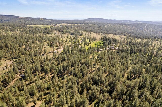 6601 Stony Way, Nine Mile Falls, WA 99026 - photo 20