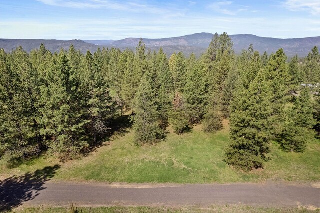 6601 Stony Way, Nine Mile Falls, WA 99026 - photo 3