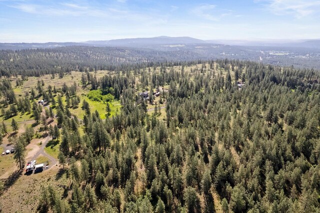 6601 Stony Way, Nine Mile Falls, WA 99026 - photo 21