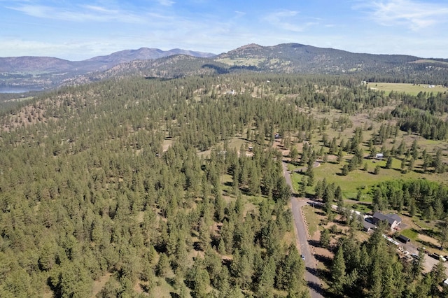 6601 Stony Way, Nine Mile Falls, WA 99026 - photo 22