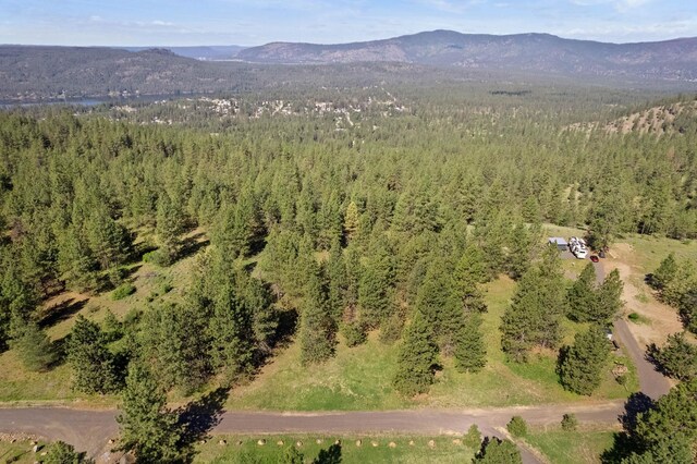 6601 Stony Way, Nine Mile Falls, WA 99026 - photo 4