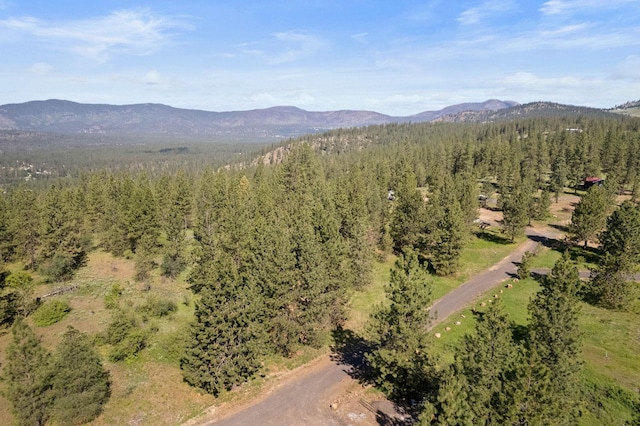6601 Stony Way, Nine Mile Falls, WA 99026 - photo 5