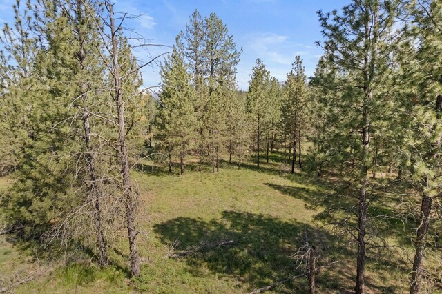 6601 Stony Way, Nine Mile Falls, WA 99026 - photo 6