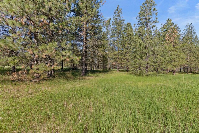 6601 Stony Way, Nine Mile Falls, WA 99026 - photo 7