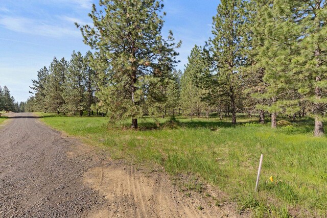 6601 Stony Way, Nine Mile Falls, WA 99026 - photo 8