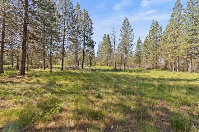 6601 Stony Way, Nine Mile Falls, WA 99026 - photo 9