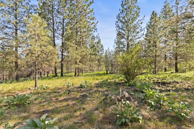 6601 Stony Way, Nine Mile Falls, WA 99026 - photo 10
