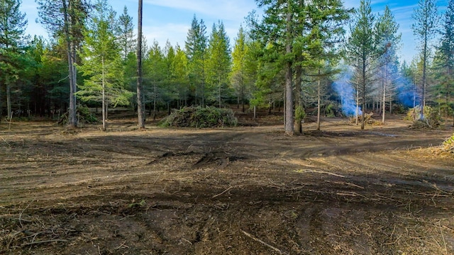 321 Glendale Dr, Newport, WA 99156 - photo 1