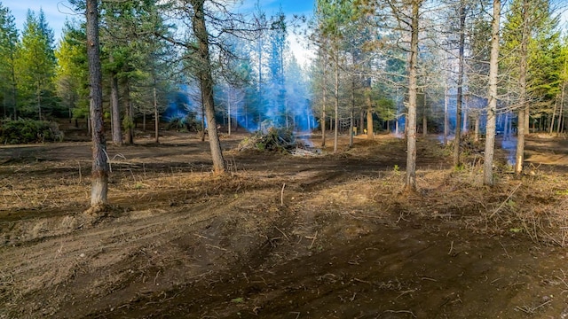 321 Glendale Dr, Newport, WA 99156 - photo 2