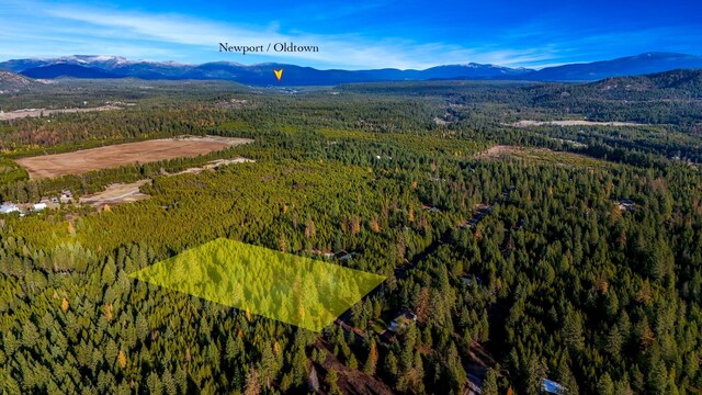 321 Glendale Dr, Newport, WA 99156 - photo 20