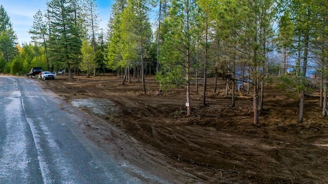 321 Glendale Dr, Newport, WA 99156 - photo 4