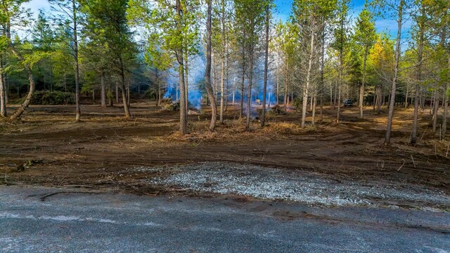 321 Glendale Dr, Newport, WA 99156 - photo 7