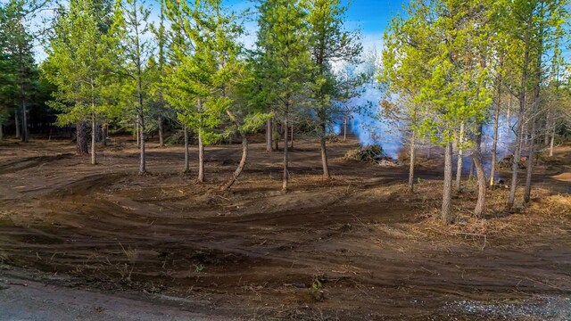 321 Glendale Dr, Newport, WA 99156 - photo 10