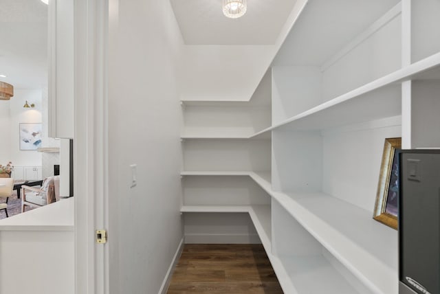 1217 E Granary Ct, Spokane, WA 99208 - view of pantry