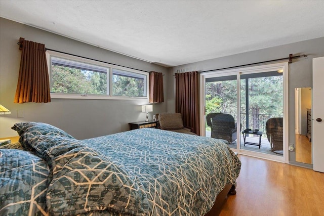 6913 S Ben Burr Rd, Spokane, WA 99223 - bedroom with access to outside, wood finished floors, and multiple windows