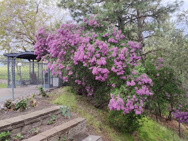 6913 S Ben Burr Rd, Spokane, WA 99223 - view of yard