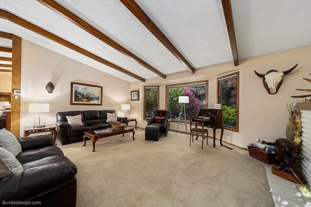 4012 S Terra Verde Dr, Veradale, WA 99037 - living area featuring light colored carpet and a textured ceiling