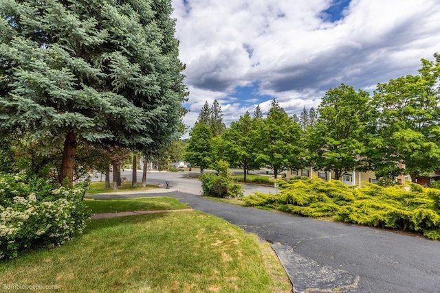 4012 S Terra Verde Dr, Veradale, WA 99037 - surrounding community featuring a yard