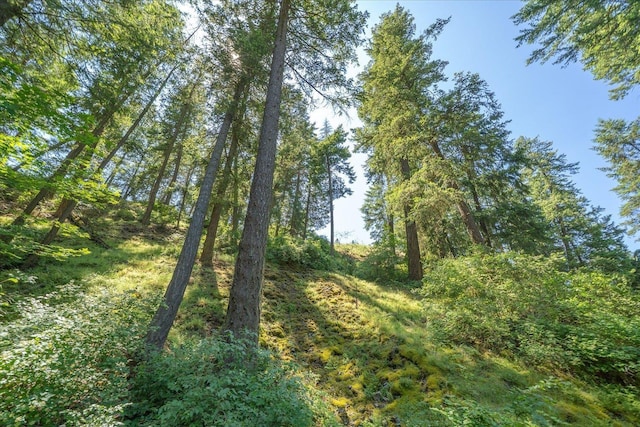 1411 W Spring Ln, Spokane, WA 99218 - view of nature