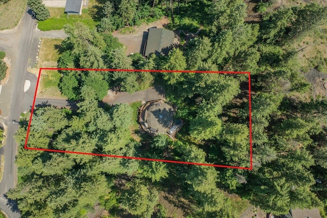 1411 W Spring Ln, Spokane, WA 99218 - aerial view of property and surrounding area with property parcel outlined
