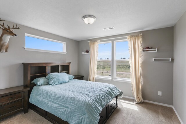 13616 W Pine Bluff Rd, Nine Mile Falls, WA 99026 - bedroom with light carpet and baseboards
