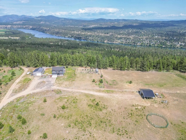 13616 W Pine Bluff Rd, Nine Mile Falls, WA 99026 - aerial view of a forest and a water and mountain view