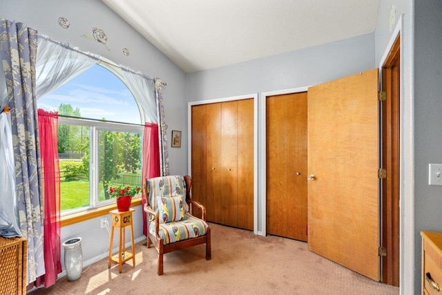 23823 E Garland Ave, Otis Orchards, WA 99027 - living area with carpet