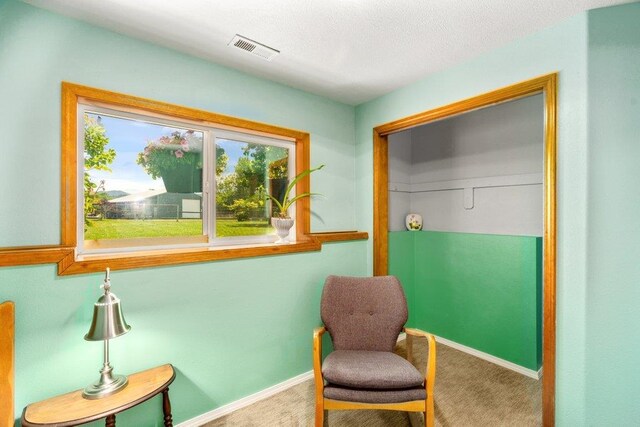 23823 E Garland Ave, Otis Orchards, WA 99027 - living area with carpet and baseboards