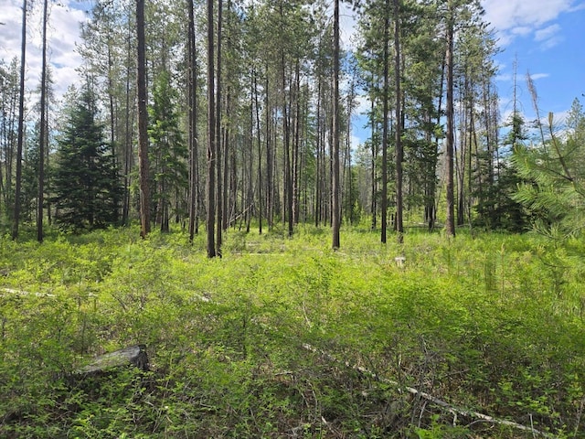 26XX Sand Canyon Rd, Chewelah, WA 99109