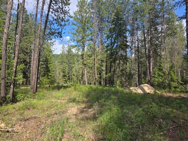 26XX Sand Canyon Rd, Chewelah, WA 99109