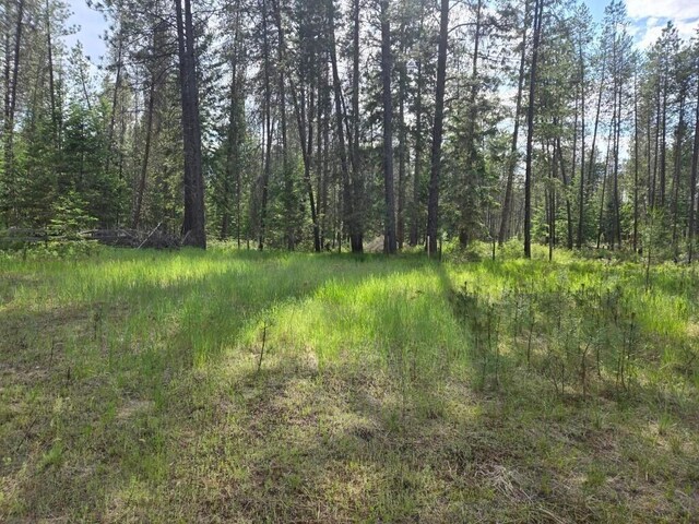 26XX Sand Canyon Rd, Chewelah, WA 99109