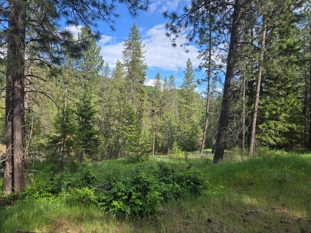 26XX Sand Canyon Rd, Chewelah, WA 99109