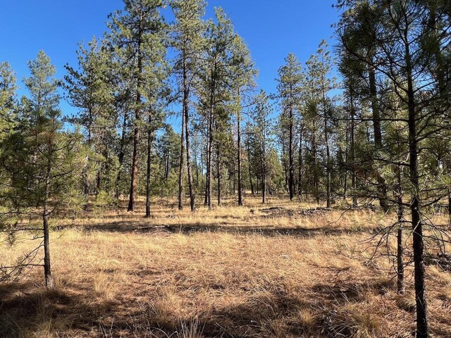 17305 S Blasted Ln, Cheney, WA 99004