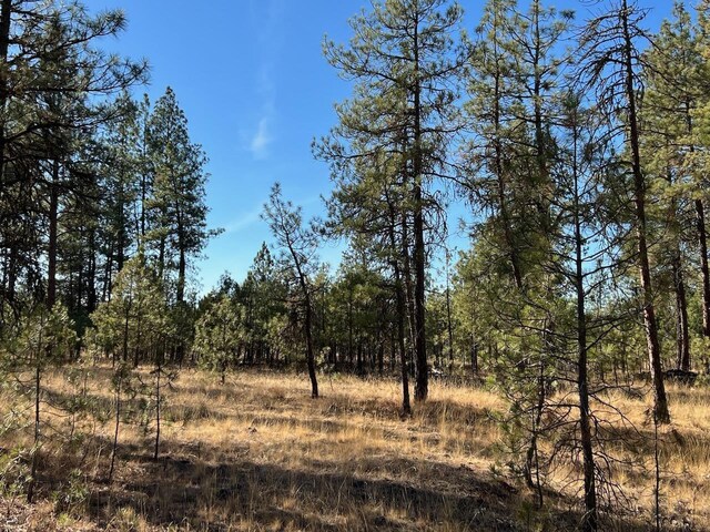 17305 S Blasted Ln, Cheney, WA 99004