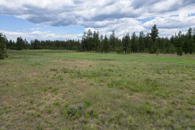 17305 S Blasted Ln, Cheney, WA 99004