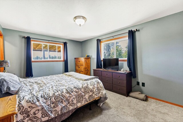 724 E Deer Park Milan Rd, Deer Park, WA 99006 - photo 15