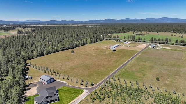 724 E Deer Park Milan Rd, Deer Park, WA 99006 - photo 48