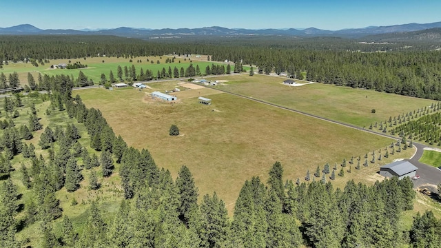 724 E Deer Park Milan Rd, Deer Park, WA 99006 - photo 50