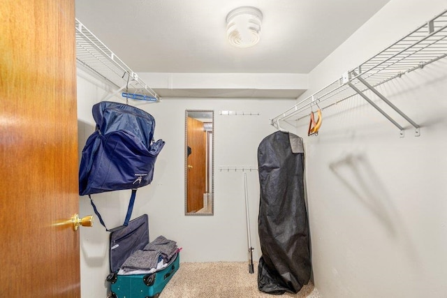 3225 E 16th Ave, Spokane, WA 99223 - walk in closet with carpet flooring