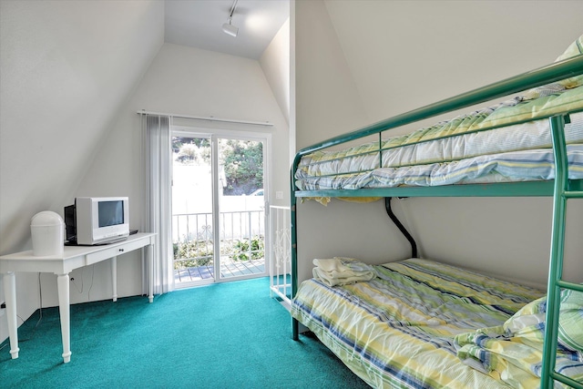 491 Eastshore Rd, Newport, WA 99156 - bedroom with vaulted ceiling, access to exterior, carpet, and track lighting