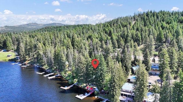 491 Eastshore Rd, Newport, WA 99156 - aerial overview of property's location with a heavily wooded area and a water and mountain view