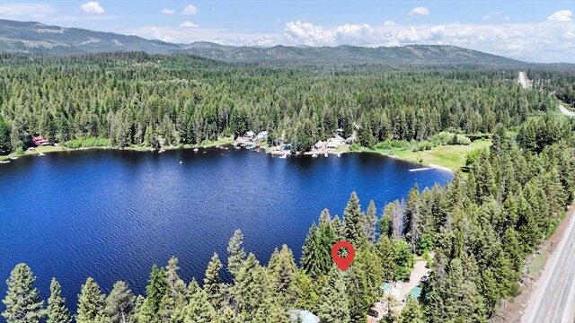 491 Eastshore Rd, Newport, WA 99156 - aerial view of a heavily wooded area and a water and mountain view