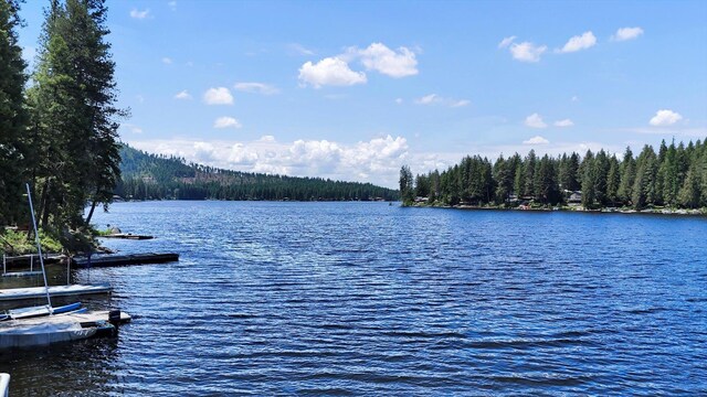 491 Eastshore Rd, Newport, WA 99156 - water view with a heavily wooded area