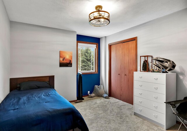 6533 D Lois Way, Nine Mile Falls, WA 99026 - carpeted bedroom with a closet and baseboards