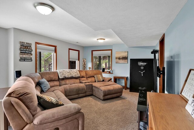 6533 D Lois Way, Nine Mile Falls, WA 99026 - carpeted living area with a textured ceiling