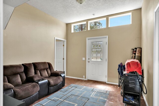 6533 D Lois Way, Nine Mile Falls, WA 99026 - living area with plenty of natural light, carpet, a textured ceiling, baseboards, and a towering ceiling