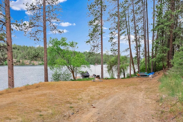 6533 D Lois Way, Nine Mile Falls, WA 99026 - water view featuring a heavily wooded area